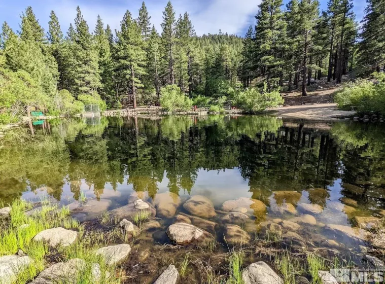 205 Scotch Pine, Reno, Nevada 89511, 4 Bedrooms Bedrooms, ,5 BathroomsBathrooms,Residential,Residential,Scotch Pine,250003932
