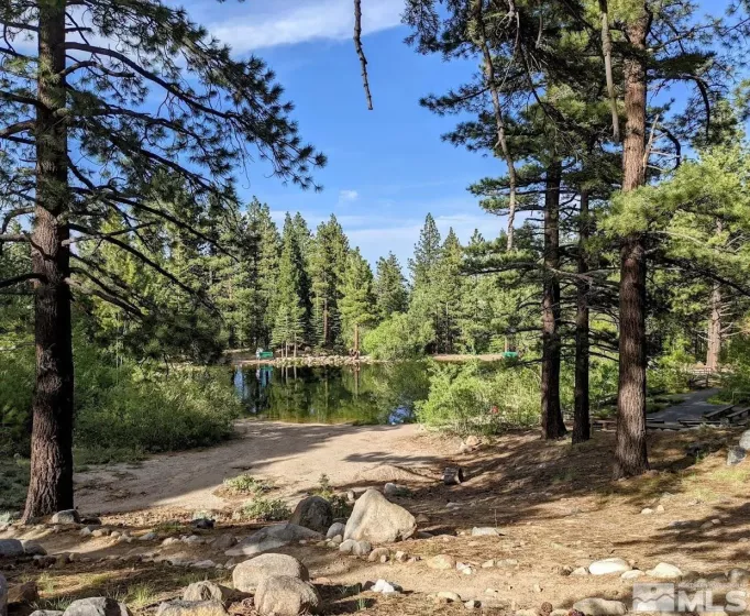 205 Scotch Pine, Reno, Nevada 89511, 4 Bedrooms Bedrooms, ,5 BathroomsBathrooms,Residential,Residential,Scotch Pine,250003932