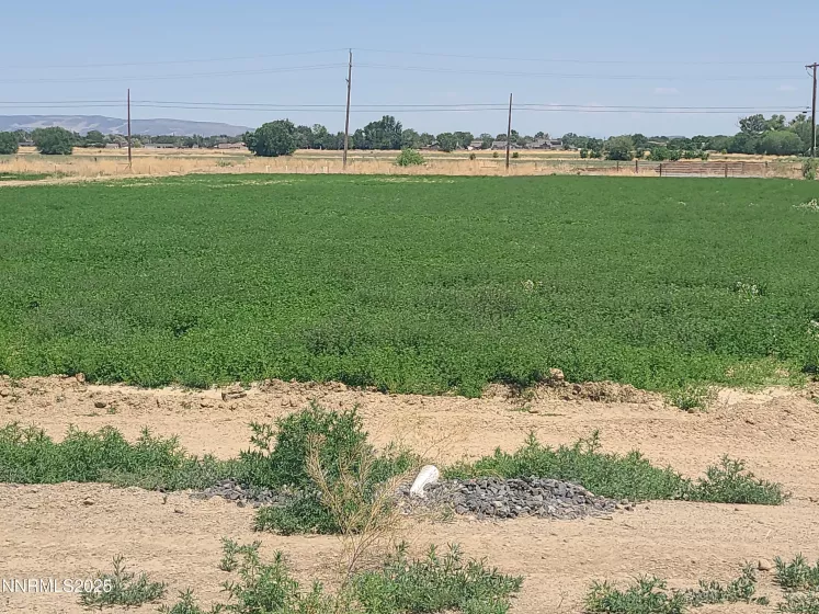 900 Cattle, Fernley, Nevada 89408, 3 Bedrooms Bedrooms, ,2 BathroomsBathrooms,Residential,Residential,Cattle,250051242