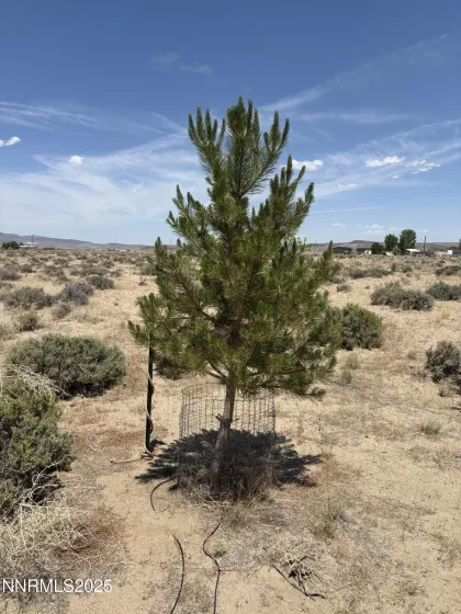 4210 6th, Silver Springs, Nevada 89429, ,Land,Residential,6th,250051274