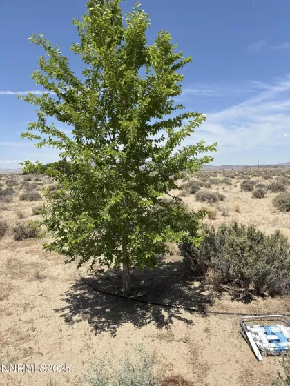 4210 6th, Silver Springs, Nevada 89429, ,Land,Residential,6th,250051274