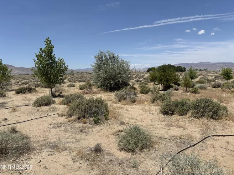 4210 6th, Silver Springs, Nevada 89429, ,Land,Residential,6th,250051274