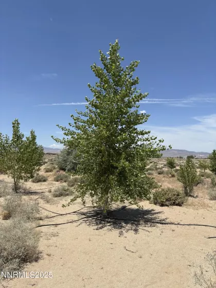4210 6th, Silver Springs, Nevada 89429, ,Land,Residential,6th,250051274