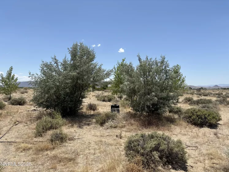 4210 6th, Silver Springs, Nevada 89429, ,Land,Residential,6th,250051274