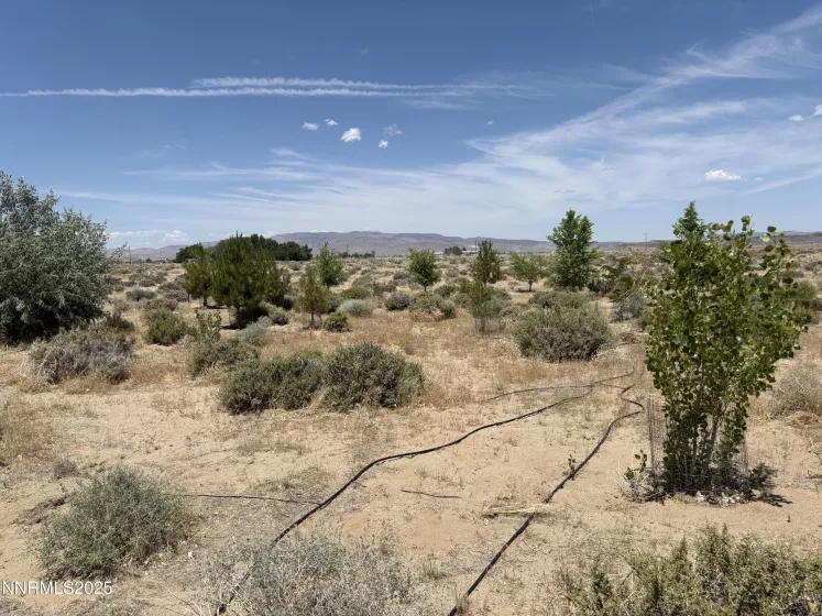 4210 6th, Silver Springs, Nevada 89429, ,Land,Residential,6th,250051274