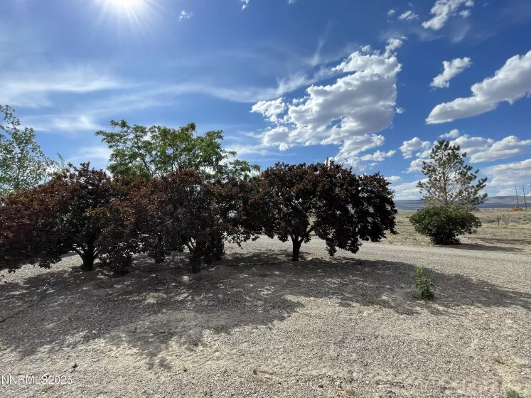 8770 Ring, Battle Mountain, Nevada 89820, 3 Bedrooms Bedrooms, ,2 BathroomsBathrooms,Residential,Residential,Ring,250051277