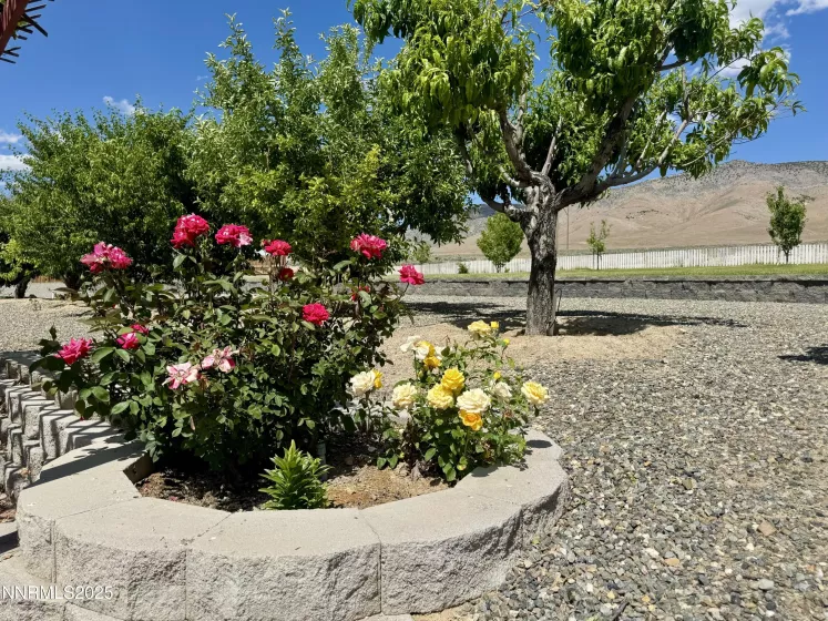 10445 Reins, Winnemucca, Nevada 89445, 3 Bedrooms Bedrooms, ,2 BathroomsBathrooms,Residential,Residential,Reins,250051339