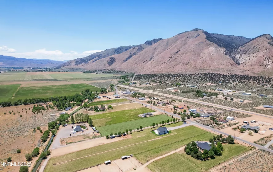 544 Upper Colony, Wellington, Nevada 89444, 4 Bedrooms Bedrooms, ,3 BathroomsBathrooms,Residential,Residential,Upper Colony,250051351