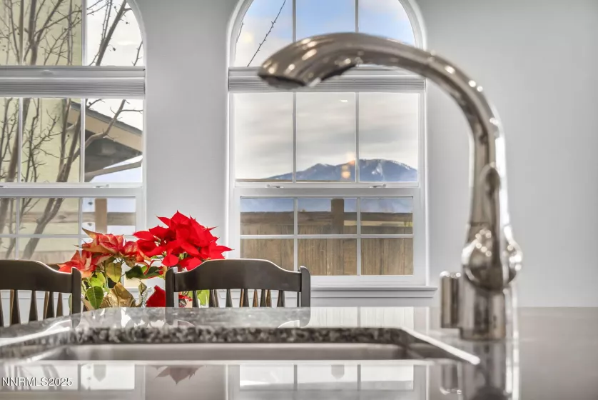 1248 Cinch, Gardnerville, Nevada 89410, 3 Bedrooms Bedrooms, ,3 BathroomsBathrooms,Residential,Residential,Cinch,250051355
