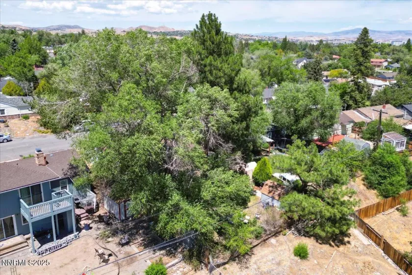 1375 Wesley, Reno, Nevada 89503, 4 Bedrooms Bedrooms, ,2 BathroomsBathrooms,Residential,Residential,Wesley,250051376