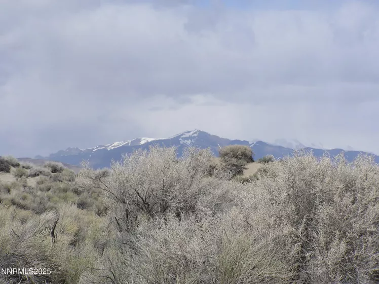 06-0361-19 Near Dutch Flat Rd, Winnemucca, Nevada 89445, ,Land,Residential,Near Dutch Flat Rd,250051380