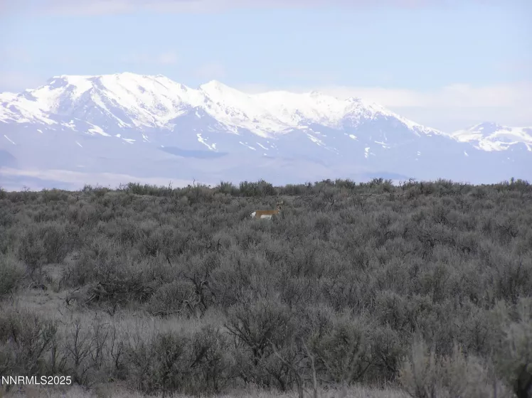 06-0361-19 Near Dutch Flat Rd, Winnemucca, Nevada 89445, ,Land,Residential,Near Dutch Flat Rd,250051380