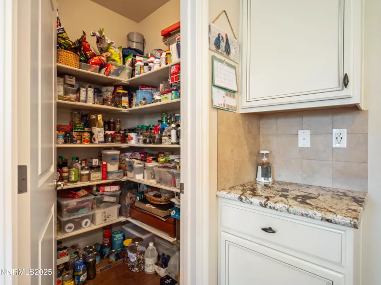 1221 Lasso, Gardnerville, Nevada 89410, 3 Bedrooms Bedrooms, ,3 BathroomsBathrooms,Residential,Residential,Lasso,250051404