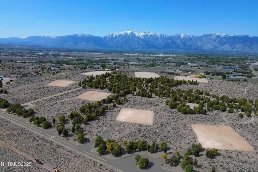 2000 Currant, Gardnerville, Nevada 89410, ,Land,Residential,Currant,0,250051425