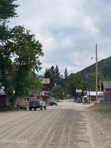 Jarbidge town view