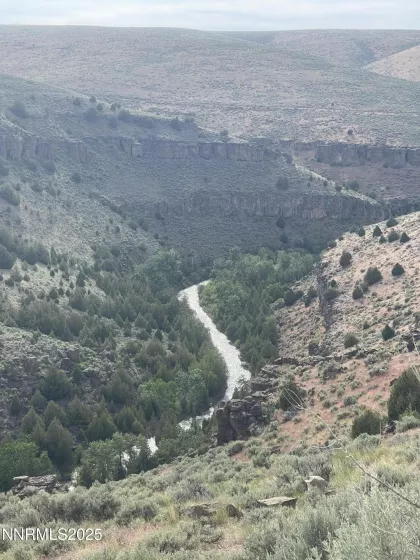 View coming to canyon to Jarbidge