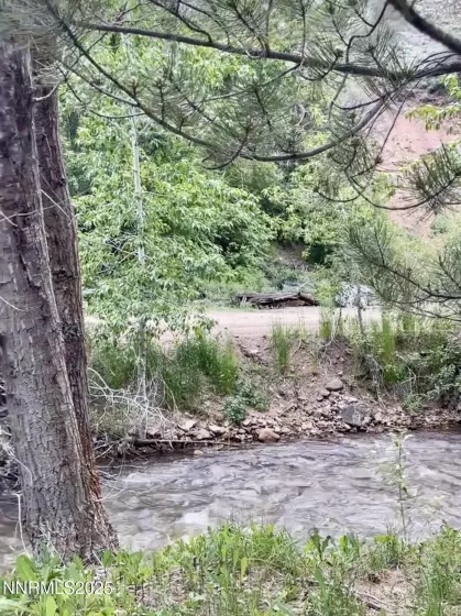 Jarbidge River