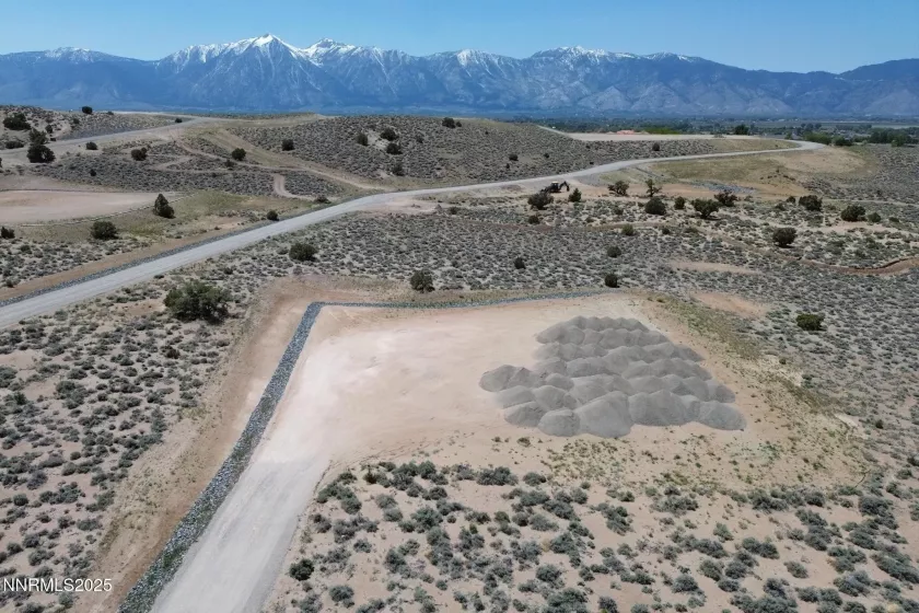 2028 Currant, Gardnerville, Nevada 89410, ,Land,Residential,Currant,250051435