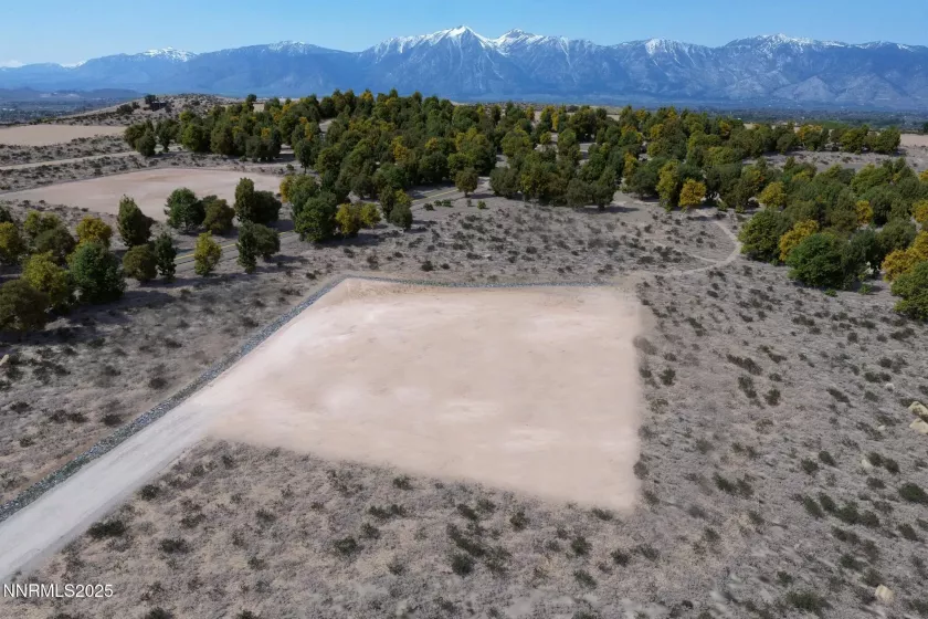 2028 Currant, Gardnerville, Nevada 89410, ,Land,Residential,Currant,250051435