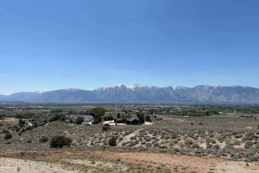 135 Pico Ln., Gardnerville, Nevada 89410, ,Land,Residential,Pico Ln.,250051442