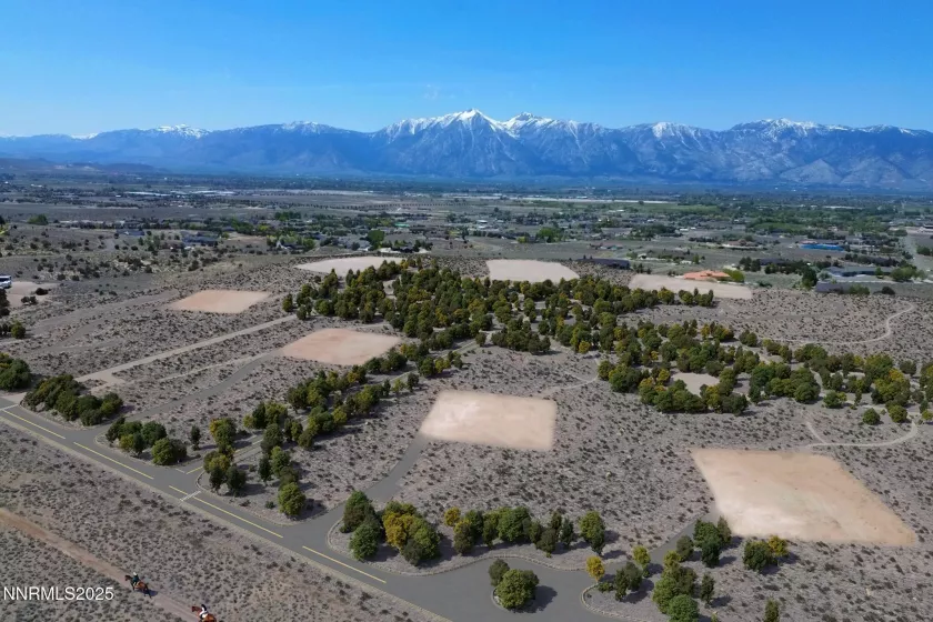 135 Pico Ln., Gardnerville, Nevada 89410, ,Land,Residential,Pico Ln.,250051442
