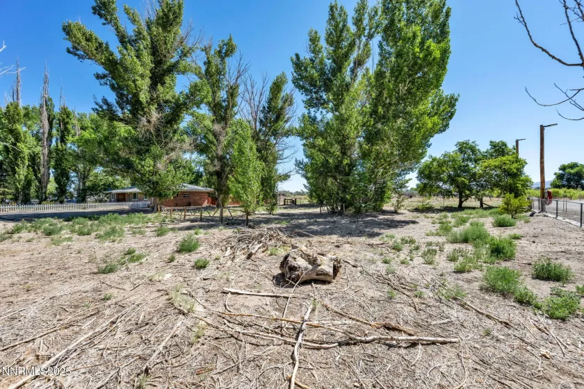 6 Green Acres, Yerington, Nevada 89447, 3 Bedrooms Bedrooms, ,2 BathroomsBathrooms,Residential,Residential,Green Acres,250051540