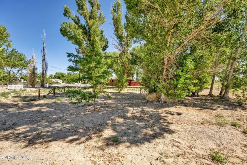 6 Green Acres, Yerington, Nevada 89447, 3 Bedrooms Bedrooms, ,2 BathroomsBathrooms,Residential,Residential,Green Acres,250051540