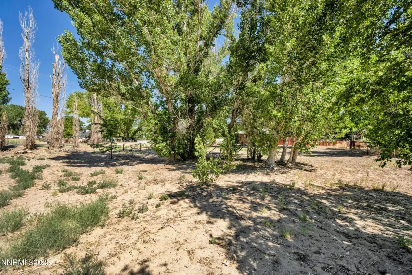 6 Green Acres, Yerington, Nevada 89447, 3 Bedrooms Bedrooms, ,2 BathroomsBathrooms,Residential,Residential,Green Acres,250051540