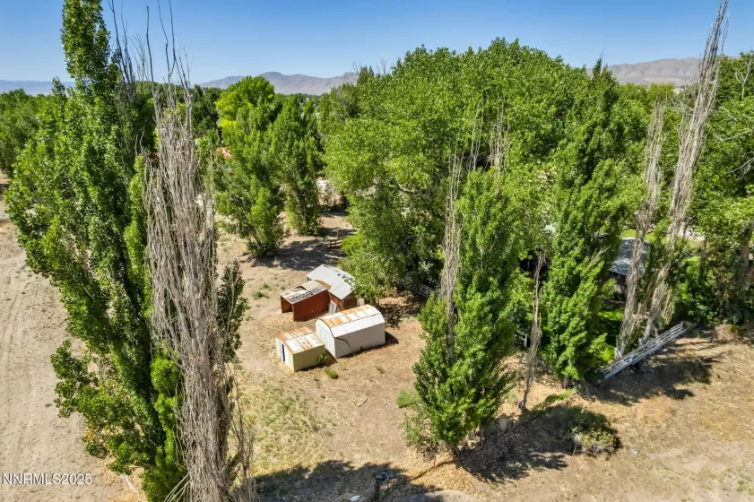 6 Green Acres, Yerington, Nevada 89447, 3 Bedrooms Bedrooms, ,2 BathroomsBathrooms,Residential,Residential,Green Acres,250051540