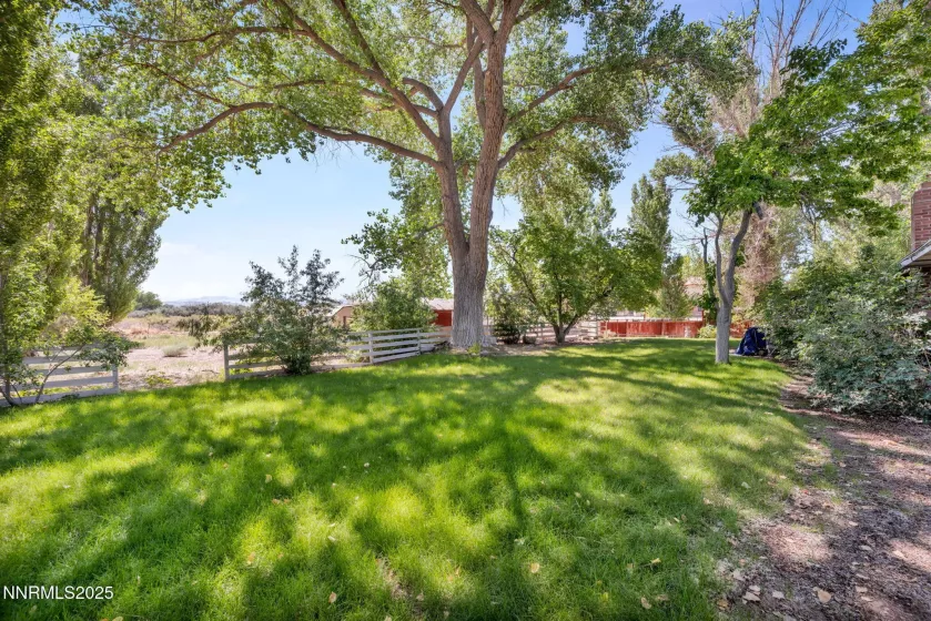 6 Green Acres, Yerington, Nevada 89447, 3 Bedrooms Bedrooms, ,2 BathroomsBathrooms,Residential,Residential,Green Acres,250051540