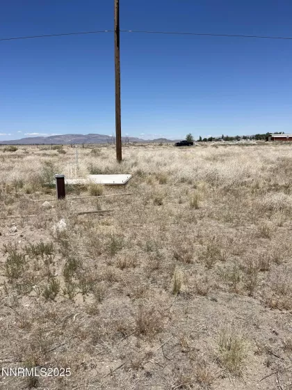 557 Pete Hendrichs, Yerington, Nevada 89447, ,Land,Residential,Pete Hendrichs,250051551