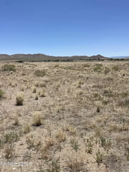 557 Pete Hendrichs, Yerington, Nevada 89447, ,Land,Residential,Pete Hendrichs,250051551