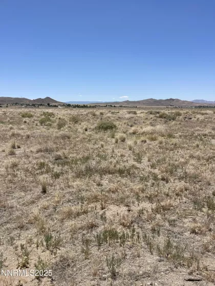 557 Pete Hendrichs, Yerington, Nevada 89447, ,Land,Residential,Pete Hendrichs,250051551