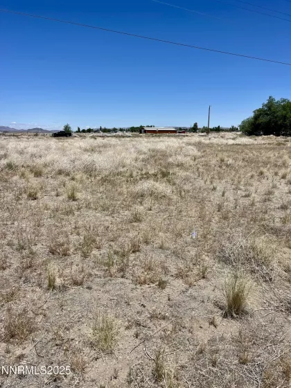 557 Pete Hendrichs, Yerington, Nevada 89447, ,Land,Residential,Pete Hendrichs,250051551