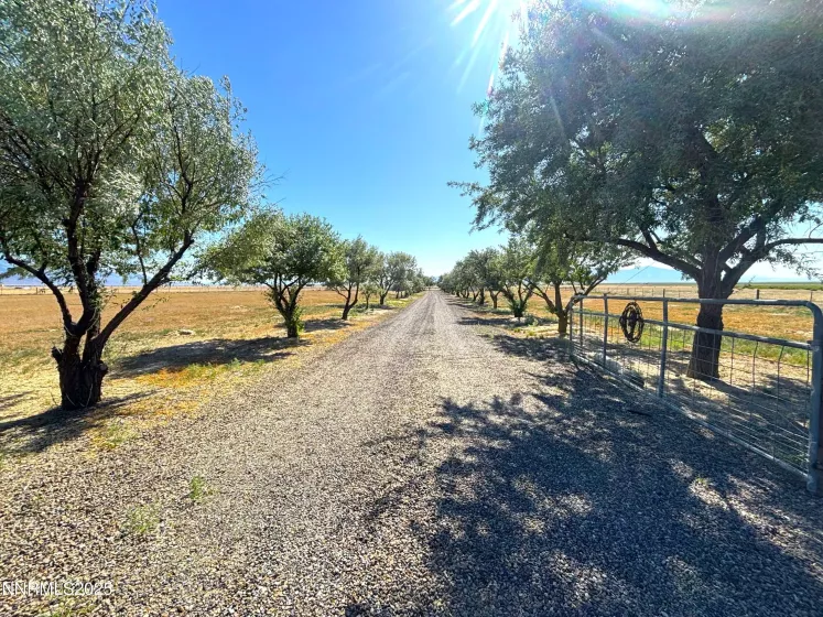 1000 Skyline, Battle Mountain, Nevada 89820, 3 Bedrooms Bedrooms, ,2 BathroomsBathrooms,Residential,Residential,Skyline,250051564