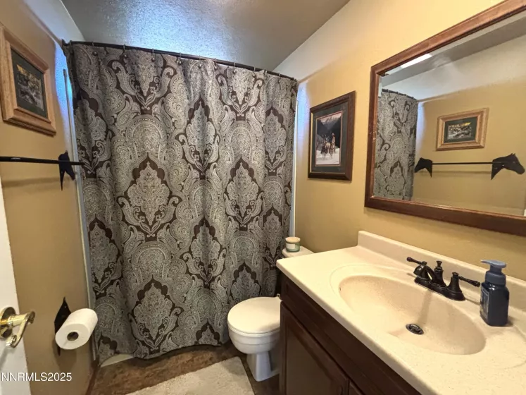 1000 Skyline, Battle Mountain, Nevada 89820, 3 Bedrooms Bedrooms, ,2 BathroomsBathrooms,Residential,Residential,Skyline,250051564