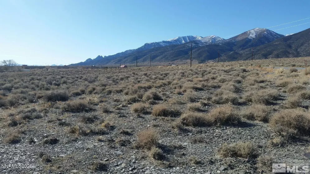 102 Ophir, Austin, Nevada 89310, ,Land,Residential,Ophir,250051571