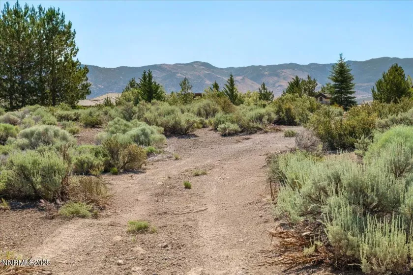 5725 Flowering Sage, Reno, Nevada 89511, ,Land,Residential,Flowering Sage,250051587