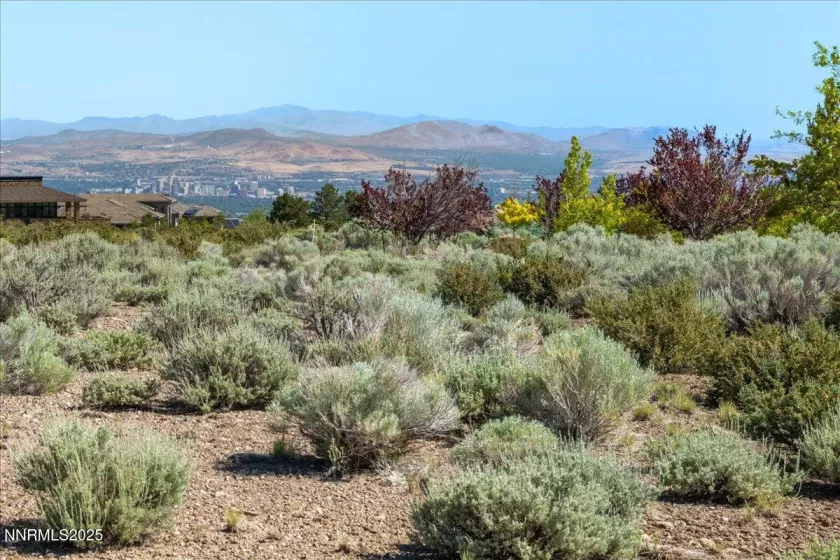 5725 Flowering Sage, Reno, Nevada 89511, ,Land,Residential,Flowering Sage,250051587