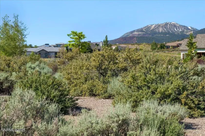 5725 Flowering Sage, Reno, Nevada 89511, ,Land,Residential,Flowering Sage,250051587