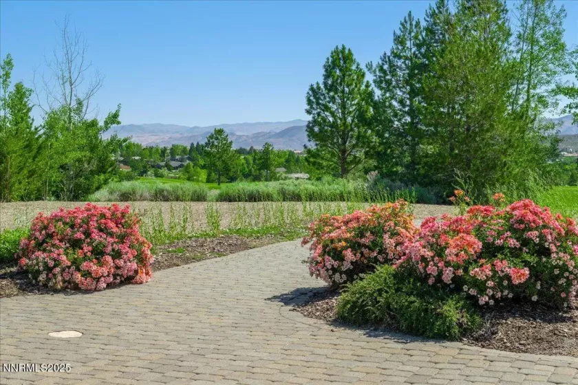 5605 Alpinista, Reno, Nevada 89511, ,Land,Residential,Alpinista,250051590