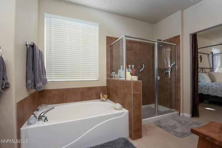 101 Moore, Dayton, Nevada 89403, 3 Bedrooms Bedrooms, ,2 BathroomsBathrooms,Residential,Residential,Moore,250051608