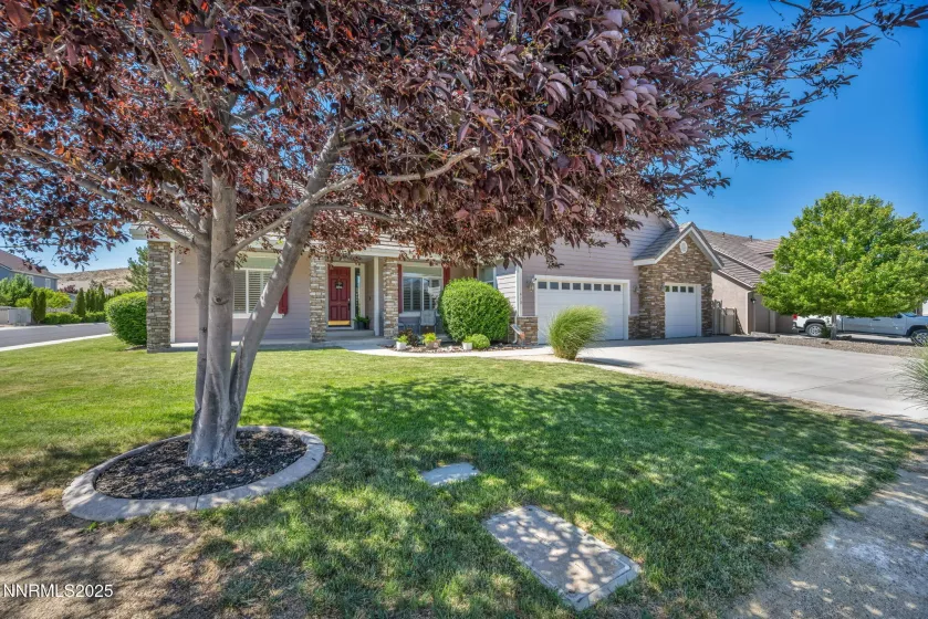 420 Chianti, Dayton, Nevada 89403, 3 Bedrooms Bedrooms, ,3 BathroomsBathrooms,Residential,Residential,Chianti,250051613