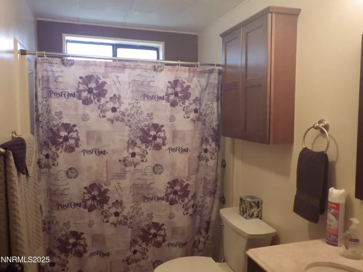 4870 Teal, Winnemucca, Nevada 89445, 3 Bedrooms Bedrooms, ,2 BathroomsBathrooms,Residential,Residential,Teal,250051624