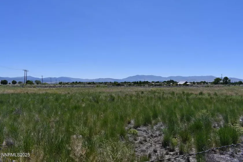 1795 U.S. Hwy 395, Minden, Nevada 89423, ,Land,Residential,U.S. Hwy 395,250051659