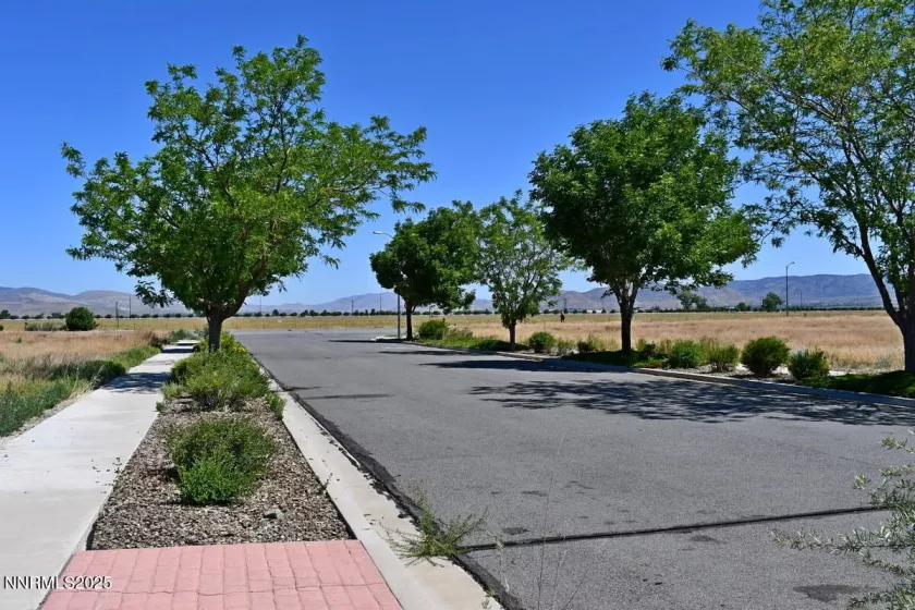 1795 U.S. Hwy 395, Minden, Nevada 89423, ,Land,Residential,U.S. Hwy 395,250051659