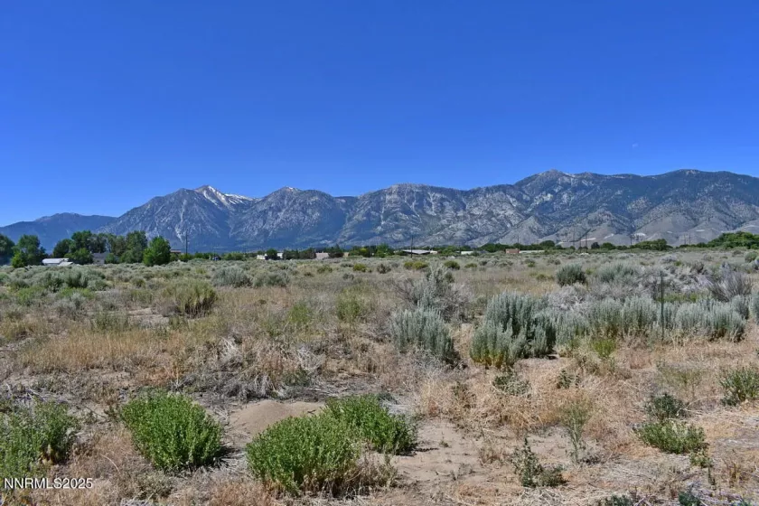 1795 U.S. Hwy 395, Minden, Nevada 89423, ,Land,Residential,U.S. Hwy 395,250051659