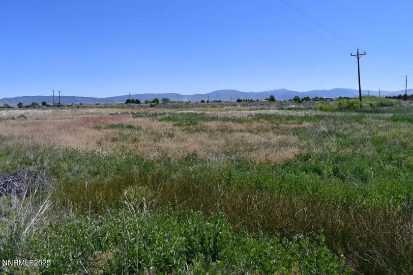 1795 U.S. Hwy 395, Minden, Nevada 89423, ,Land,Residential,U.S. Hwy 395,250051659