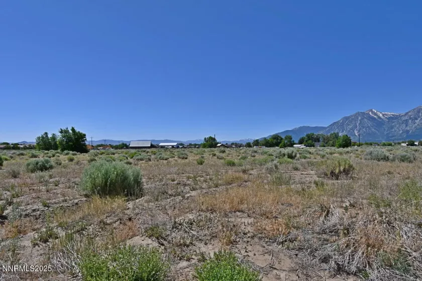 1795 U.S. Hwy 395, Minden, Nevada 89423, ,Land,Residential,U.S. Hwy 395,250051659