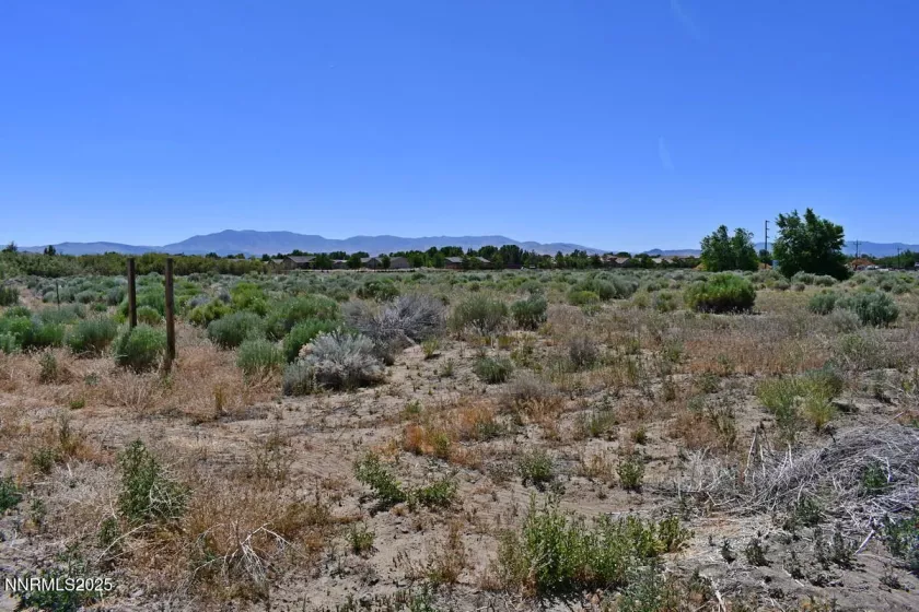 1795 U.S. Hwy 395, Minden, Nevada 89423, ,Land,Residential,U.S. Hwy 395,250051659